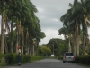 botanical