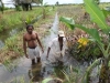 farmers-flood